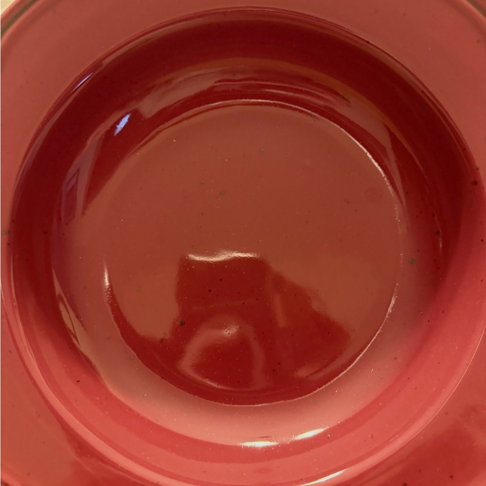 Burgundy soup bowls (11)